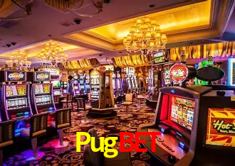Pugbet Salvador - Bonus Stats