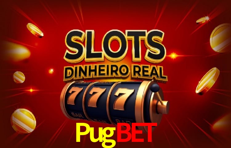 Pugbet Curitiba - Statistics