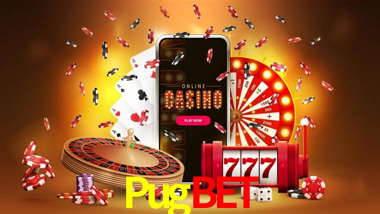 Pugbet Salvador - Statistics