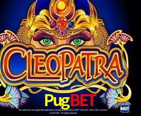 Pugbet Curitiba - Live Status