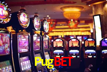 Pugbet Rio de Janeiro - Bonus Terms