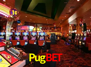 Pugbet Salvador - Studio Tour